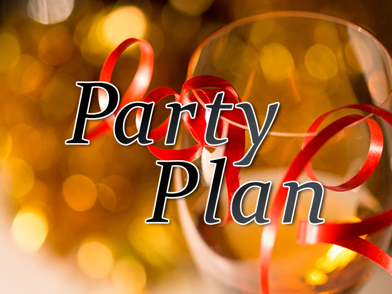 party03800-600